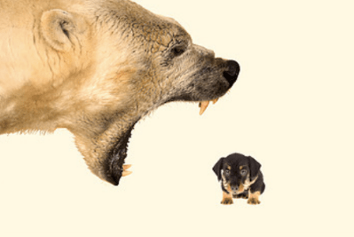 Screen Shot 2019-10-12 at 5.57.18 PM