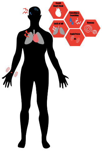 Screen Shot 2020-01-22 at 6.38.35 PM