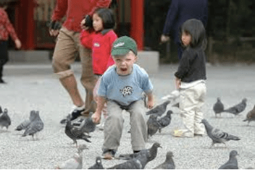 Screen Shot 2020-01-22 at 6.43.17 PM