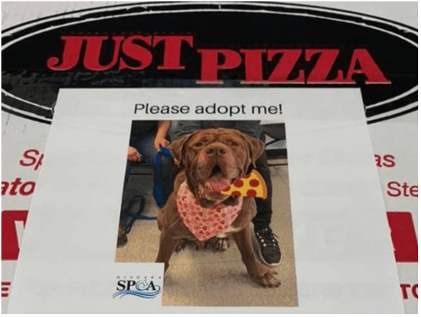 Screen Shot 2020-03-21 at 8.11.58 PM